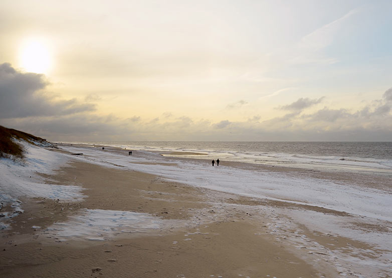 Martin Rütter Sylt 2018