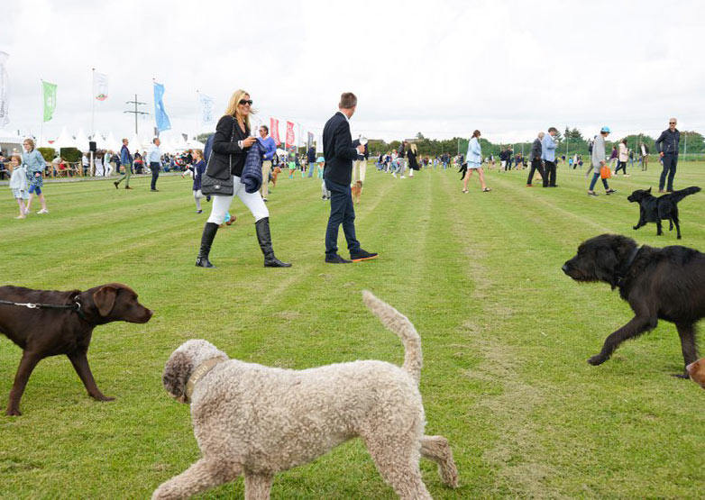Berenberg German Polo Masters 2018