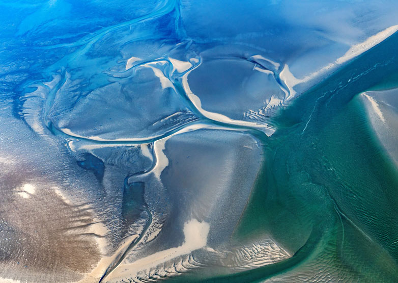 Weltnaturerbe Wattenmeer - Robbenbänke