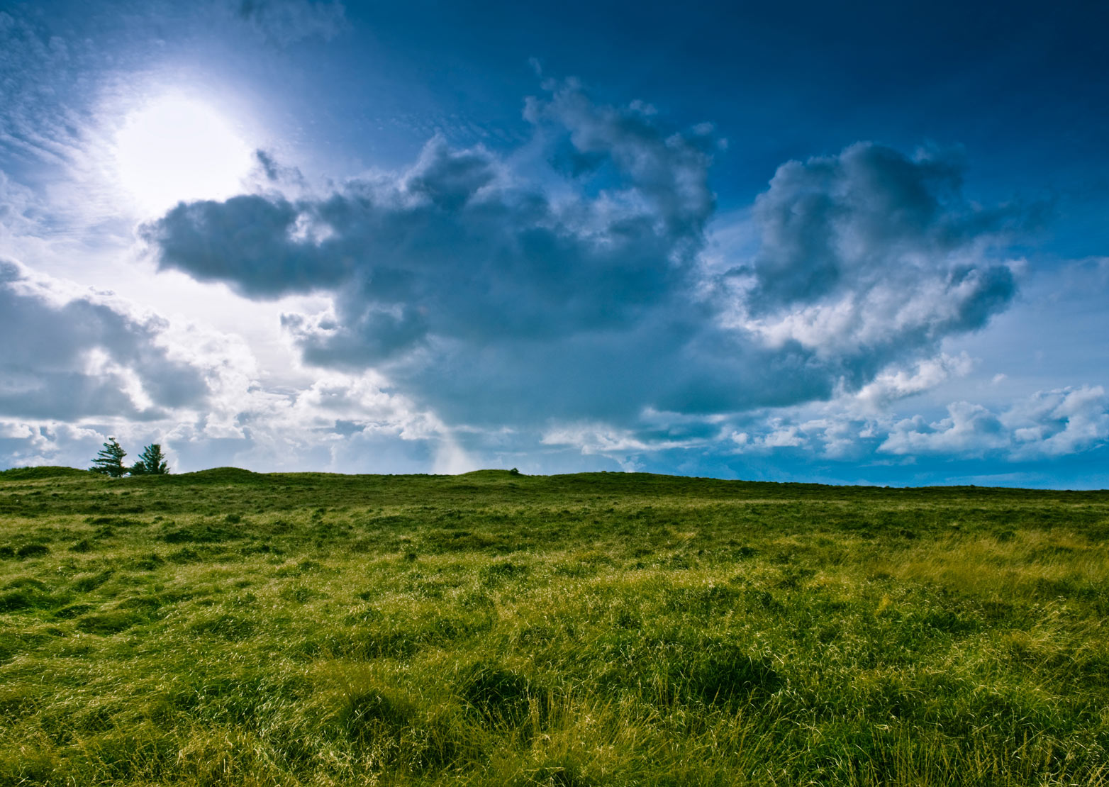 Ferienwohnungen in Morsum auf Sylt