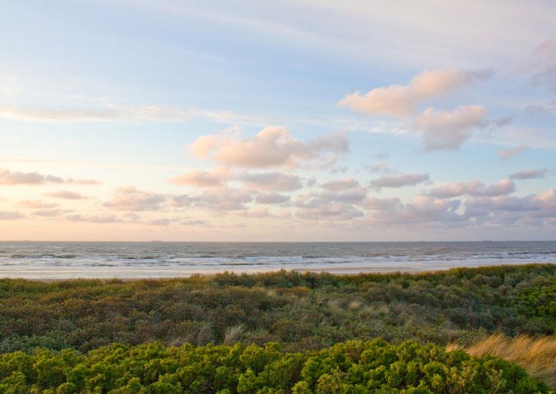 Ferienwohnung "Sönshörn 20" in Munkmarsch auf Sylt