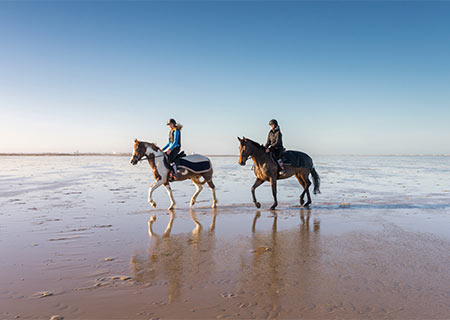 Reiten am Strand auf Sylt in Zeiten von Corona